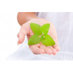 Botanicals - Organic sanitiser - Bio sanitizer
