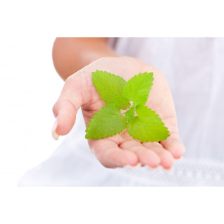 Botanicals - Organic sanitiser - Bio sanitizer