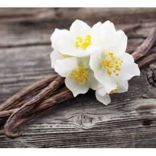 Valeur Absolue - CONFIANCE - Edp