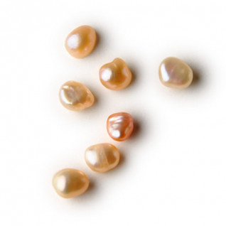 Valeur Absolue - SENSUALITE ESSENTIELLE - Edp