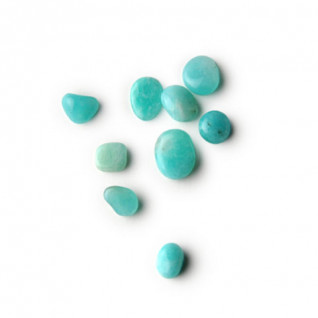 Valeur Absolue - SERENITUDE - Edp